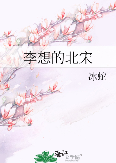 李想的北宋