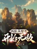 从西游开始提取属性 小说