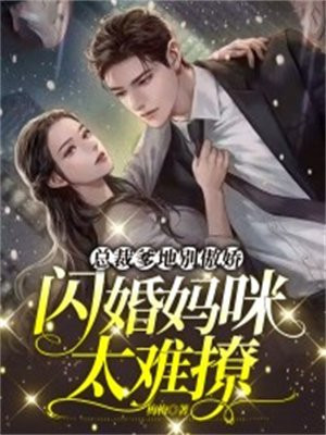总裁爹地别傲娇,闪婚妈咪太难撩小说