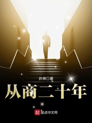 从商二十年 井神