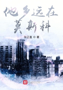 他乡远在莫斯科 小说