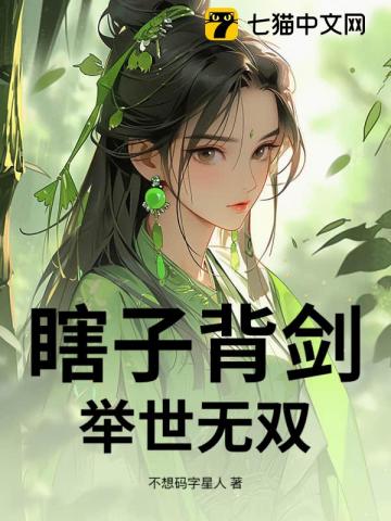 主角是瞎子用剑的武侠小说