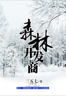 森林开发商 小说