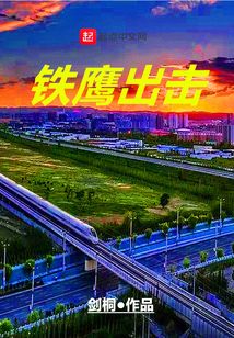 铁鹰出击真相