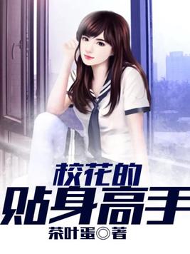 校花的贴身高手TXT电子书下载