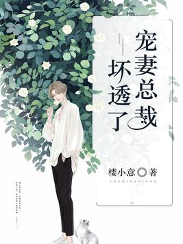宠妻总裁坏透了全集电视剧免费观看