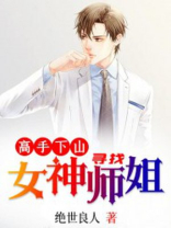 高手下山,寻找女神师姐小说