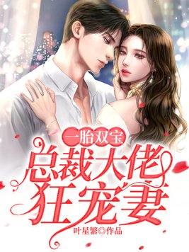 一胎双宝总裁大佬狂宠妻小说