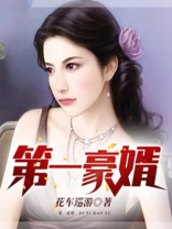 陆呈何艺第一豪婿