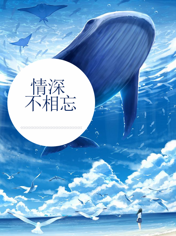 情深不相许免费阅读