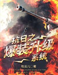 小说抗日之爆装升级系统