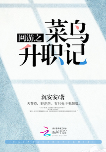网游之菜鸟之王免费阅读
