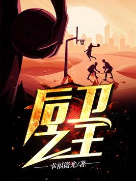 后卫之王TXT下载