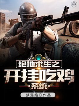 绝地求生之开挂吃鸡系统