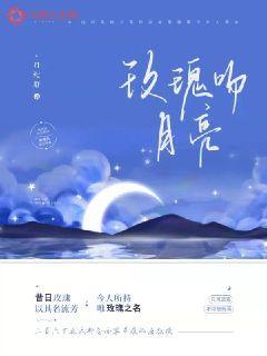 玫瑰吻月亮小说讲的什么