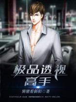 极品透视高手 小说