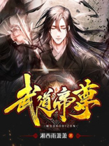 武道帝尊 小说