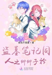 盗墓卿起