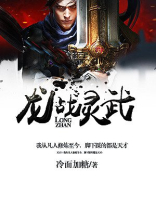 龙战灵武 小说