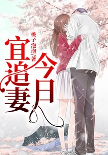 今日宜追妻免费阅读