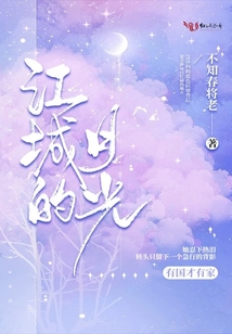 江城的月光小说好看吗