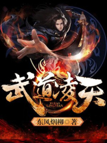 武道凌天境界等级划分
