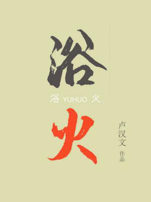 浴火女皇电视剧