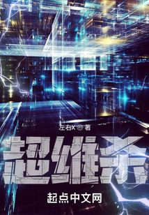 超维杀无防盗