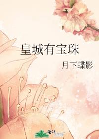 皇城有宝珠小说百度云