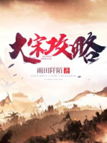 大宋攻略指南