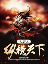 大唐之纵横天下小说