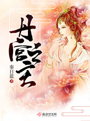 丹宫之主小说