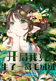开局就生了娃 小说