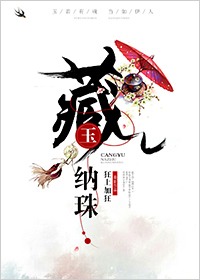 藏玉纳珠 小说讲的什么
