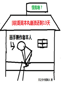 [综]距离本丸崩溃还剩十三天 天之方兮望美人