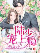 重生陆少宠妻入骨
