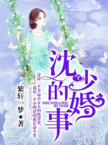 关于沈少的全部小说