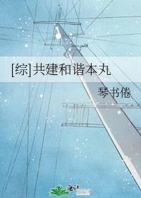 [综]共建和谐本丸 琴书倦