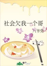 社会欠我一个哥晋江