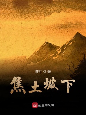焦坡陈酿46度酒浓香型价格