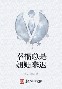 幸福总是姗姗来迟小说
