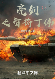 亮剑之智将丁伟