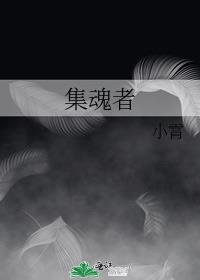 集魂者讲了什么