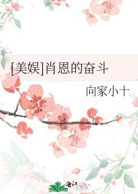 美娱肖恩的奋斗百度云