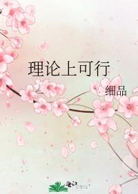 理论可行是什么意思