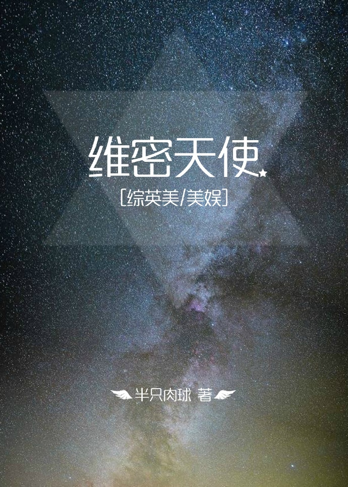 维密天使综英美讲的什么