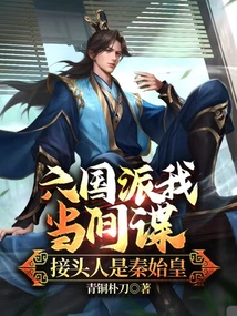 六国派我当间谍接头人是秦始皇小说