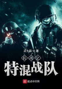 抗战之特混战队 正七品