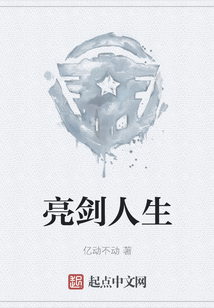 亮剑人生小说免费阅读
