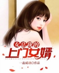 女总裁的上门女婿（又名：叶凡）